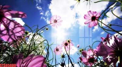 File gốc Tranh sơn dầu phương tây tổng hợp STS65830 (in lụa) chi tiết cao