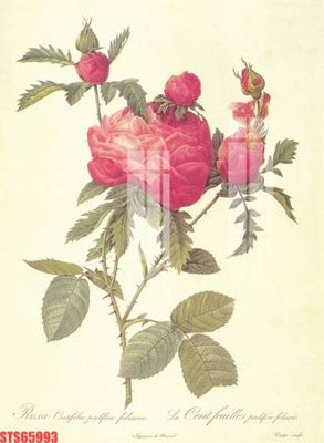 File ảnh Tranh sơn dầu phương tây tổng hợp STS65993 (gốc) in backdrop sự kiện