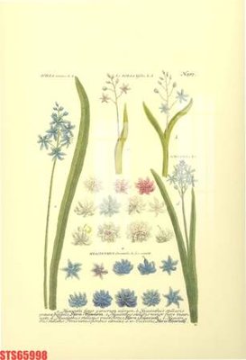 File ảnh Tranh sơn dầu phương tây tổng hợp STS65998 (gốc) in Hiflex