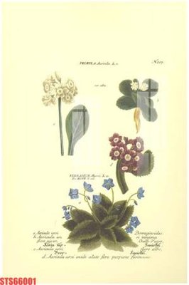 File ảnh Tranh sơn dầu phương tây tổng hợp STS66001 (gốc) in quảng cáo ngoài trời