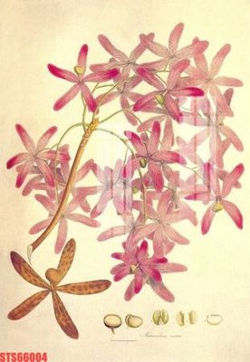 Tải file Tranh sơn dầu phương tây tổng hợp STS66004 (ảnh gốc) file TIFF