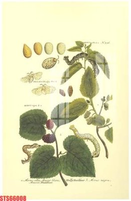 File gốc Tranh sơn dầu phương tây tổng hợp STS66008 (in mica) cắt laser