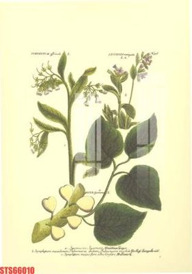 File PSD Tranh sơn dầu phương tây tổng hợp STS66010 (bản gốc) cho nhà in