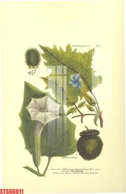 File PSD Tranh sơn dầu phương tây tổng hợp STS66011 (gốc) tách lớp chi tiết