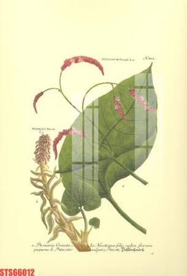 Tải file Tranh sơn dầu phương tây tổng hợp STS66012 (gốc) in trên mọi chất liệu