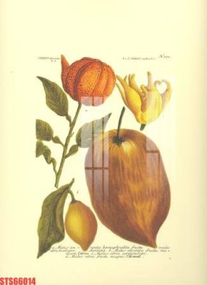 File gốc Tranh sơn dầu phương tây tổng hợp STS66014 (in lụa) tranh thuận buồm