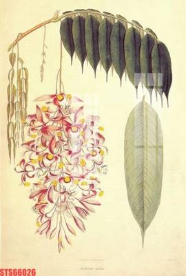 File gốc Tranh sơn dầu phương tây tổng hợp STS66026 (PSD/TIFF) độ phân giải cao