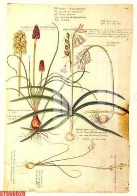 File in mica Tranh sơn dầu phương tây tổng hợp STS66028 (bản gốc) siêu trong