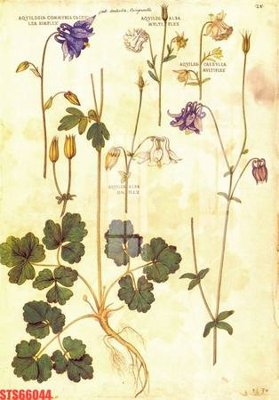 File in ấn cao cấp Tranh sơn dầu phương tây tổng hợp STS66044 (file gốc)