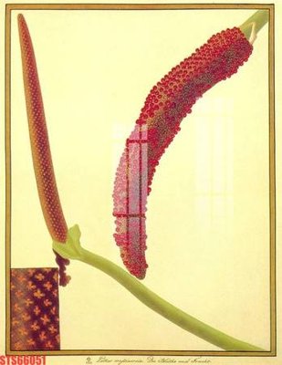 File gốc Tranh sơn dầu phương tây tổng hợp STS66051 (in lụa) trang trí tường