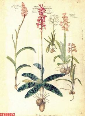 File tranh Tranh sơn dầu phương tây tổng hợp STS66052 (file gốc) chủ đề phong thủy