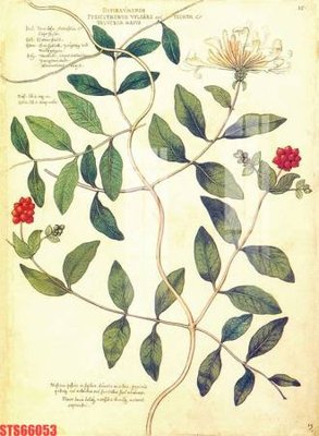 Tệp tin gốc Tranh sơn dầu phương tây tổng hợp STS66053 (dùng cho in) Tranh sơn dầu phương tây tổng hợp STS66053