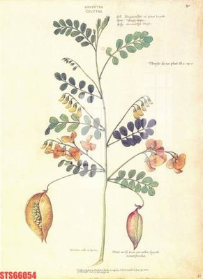 File gốc Tranh sơn dầu phương tây tổng hợp STS66054 (ảnh chi tiết) để in ấn