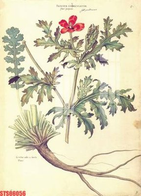 Tải file Tranh sơn dầu phương tây tổng hợp STS66056 (gốc) để in ấn ngay