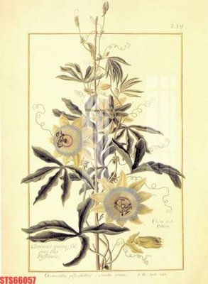 File gốc Tranh sơn dầu phương tây tổng hợp STS66057 (in lụa) cao cấp