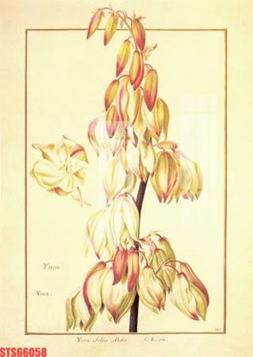 File tranh Tranh sơn dầu phương tây tổng hợp STS66058 (gốc) chủ đề trừu tượng