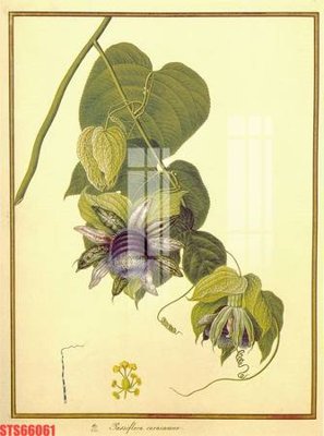 Tải file Tranh sơn dầu phương tây tổng hợp STS66061 (gốc) in nhanh