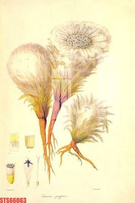 Tải file gốc Tranh sơn dầu phương tây tổng hợp STS66063 (bản PSD) gốc