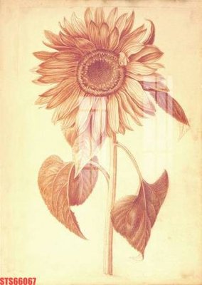 File in trần Tranh sơn dầu phương tây tổng hợp STS66067 (bản gốc) phong cảnh