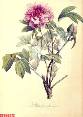 Chi tiết file gốc Tranh sơn dầu phương tây tổng hợp STS66072 (cho in tráng gương)