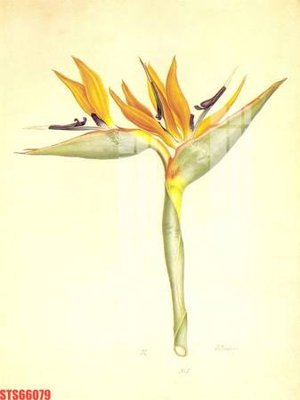 Tải file Tranh sơn dầu phương tây tổng hợp STS66079 (gốc) chủ đề tâm linh