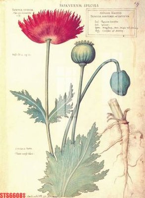 File in trần Tranh sơn dầu phương tây tổng hợp STS66081 (file gốc) xuyên sáng