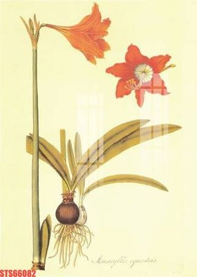 Tải file Tranh sơn dầu phương tây tổng hợp STS66082 (gốc) làm tranh treo tường