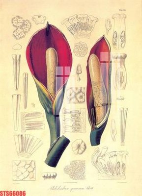 File PSD Tranh sơn dầu phương tây tổng hợp STS66086 (nguyên gốc) chất lượng cao