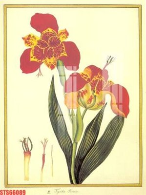 Tải file gốc Tranh sơn dầu phương tây tổng hợp STS66089 (in tráng gương) cao cấpFile gốc Tranh sơn dầu phương tây tổng hợp STS66089 (in ấn) phiên bản độc quyền