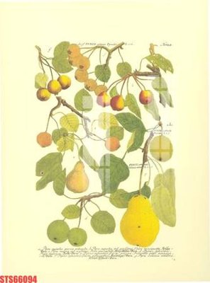 Download file Tranh sơn dầu phương tây tổng hợp STS66094 (gốc) cho xưởng in