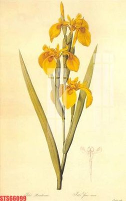 Download file gốc Tranh sơn dầu phương tây tổng hợp STS66099 (dùng cho in ấn)