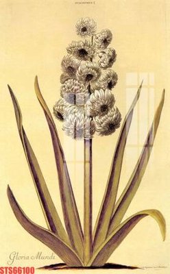 File in ấn Tranh sơn dầu phương tây tổng hợp STS66100 (bản gốc) sắc nét