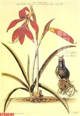 File PSD Tranh sơn dầu phương tây tổng hợp STS66101 (bản gốc) dễ dàng edit