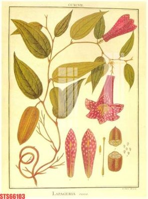 File tranh Tranh sơn dầu phương tây tổng hợp STS66103 (bản gốc) in lụa 5D