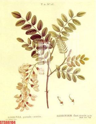 Hình ảnh file gốc Tranh sơn dầu phương tây tổng hợp STS66104 cho in UV