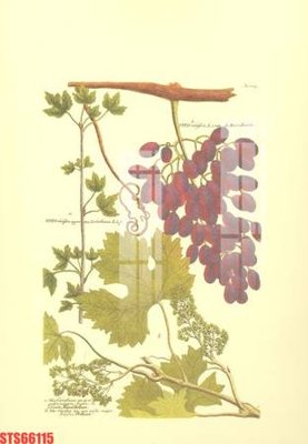 Download file Tranh sơn dầu phương tây tổng hợp STS66115 (chất lượng in ấn)