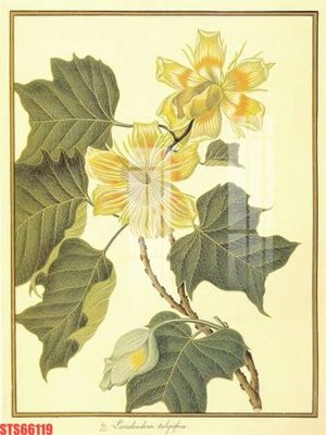 File in lụa Tranh sơn dầu phương tây tổng hợp STS66119 (tân cổ điển) Tranh sơn dầu phương tây tổng hợp STS66119