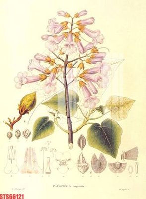 File tranh Tranh sơn dầu phương tây tổng hợp STS66121 (bản gốc) treo phòng ăn