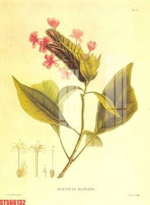 Tải file gốc Tranh sơn dầu phương tây tổng hợp STS66132 (in bạt) quảng cáo