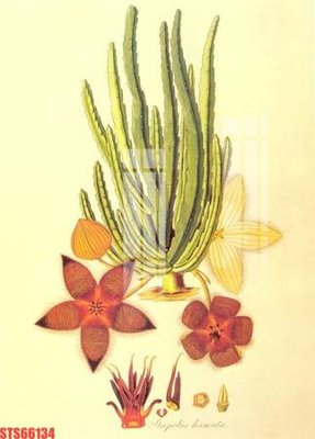 File gốc Tranh sơn dầu phương tây tổng hợp STS66134 (dành cho trang trí nội thất)