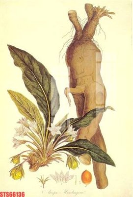 File gốc Tranh sơn dầu phương tây tổng hợp STS66136 (trang trí) cho phòng khách