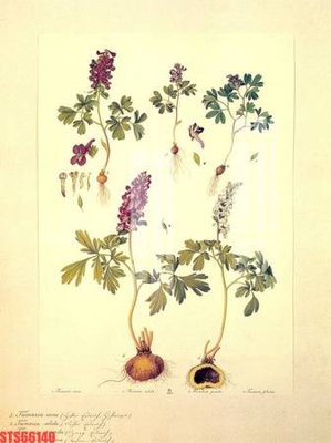 Tải file Tranh sơn dầu phương tây tổng hợp STS66140 (gốc) chủ đề tâm linh