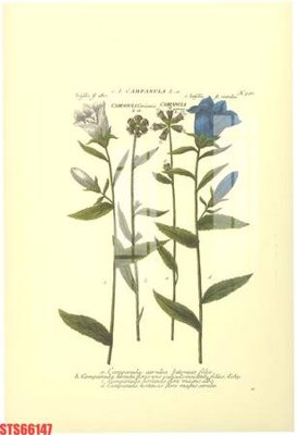 Download file gốc Tranh sơn dầu phương tây tổng hợp STS66147 (in lụa) hoa lá