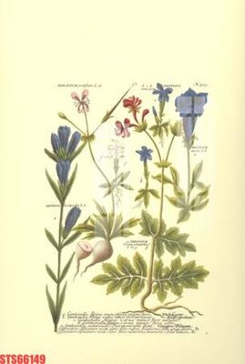 Chi tiết file tranh tráng gương Tranh sơn dầu phương tây tổng hợp STS66149 (ảnh gốc)