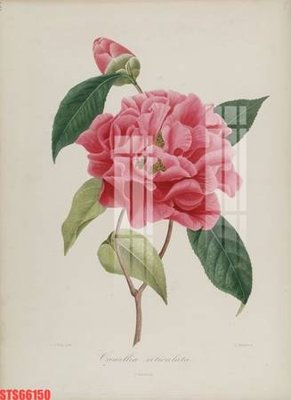 File gốc Tranh sơn dầu phương tây tổng hợp STS66150 (in mica) trang trí