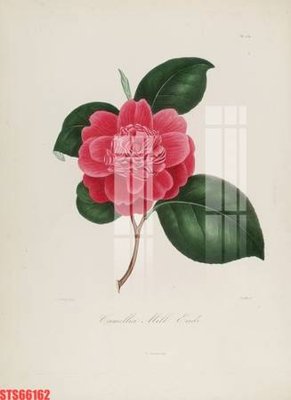 File in trần Tranh sơn dầu phương tây tổng hợp STS66162 (file gốc) xuyên sáng