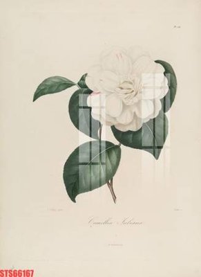 File in trần Tranh sơn dầu phương tây tổng hợp STS66167 (bản gốc 3D) sống động