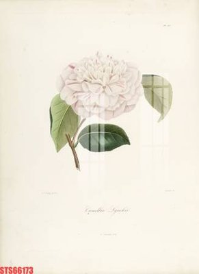 File gốc in ấn Tranh sơn dầu phương tây tổng hợp STS66173 độ phân giải cao