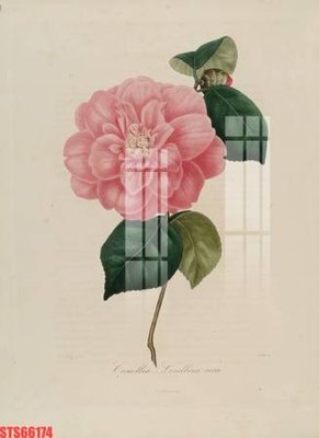 Tải file gốc Tranh sơn dầu phương tây tổng hợp STS66174 dùng cho in ấn