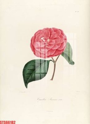 File in trần Tranh sơn dầu phương tây tổng hợp STS66182 (file gốc) chủ đề vũ trụ